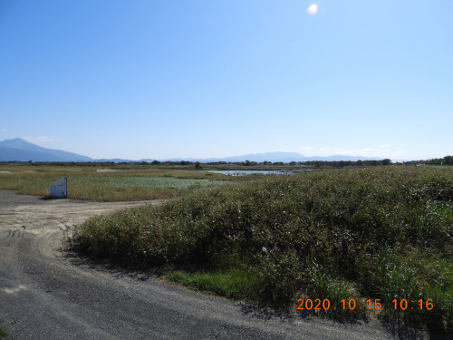 DSCN0006.JPG