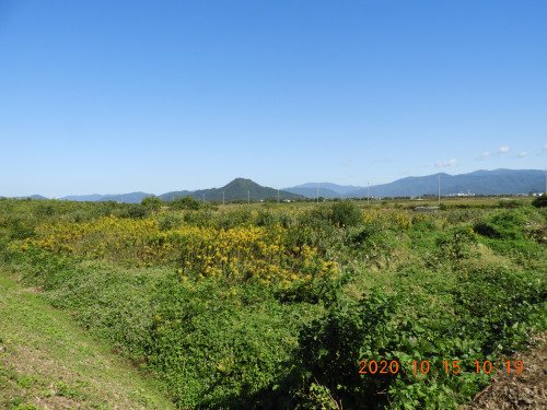 DSCN0008.JPG