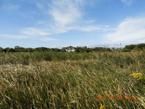 DSCN0306.JPG