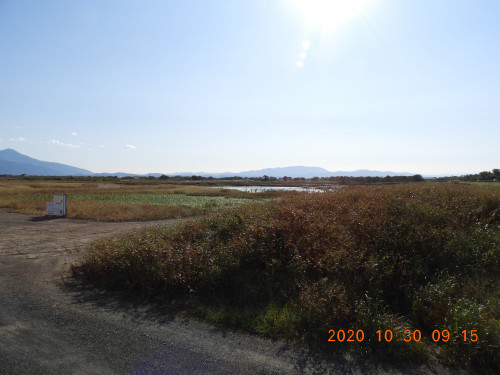DSCN0310.JPG