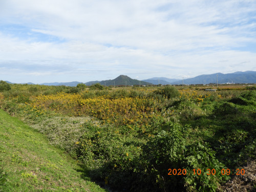 DSCN0314.JPG