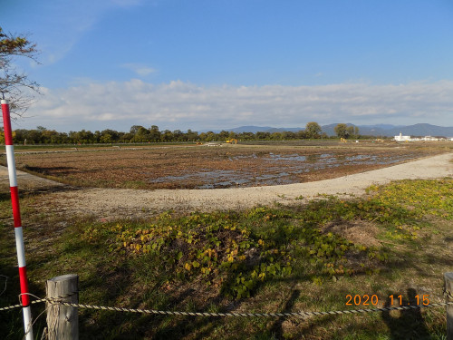 DSCN9602.JPG