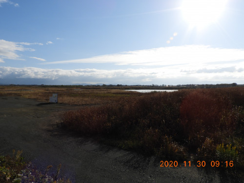 DSCN0677.JPG