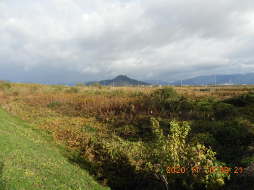 DSCN0681.JPG