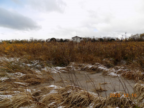 DSCN9608.JPG