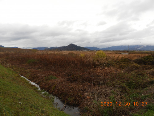 DSCN9032.JPG