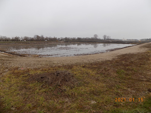 DSCN9616.JPG