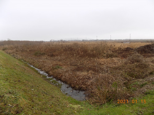 DSCN9619.JPG