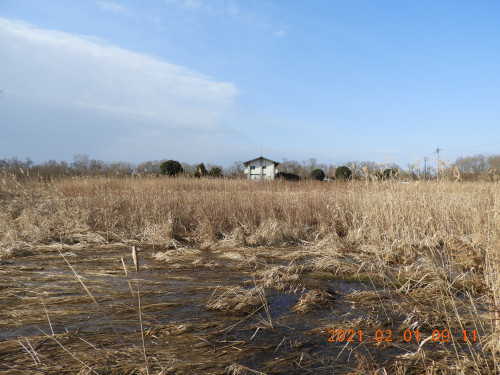 DSCN9905.JPG