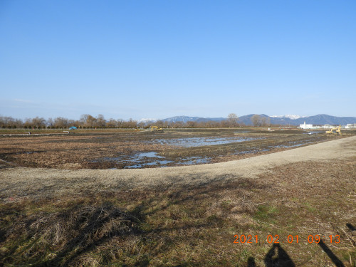 DSCN9907.JPG