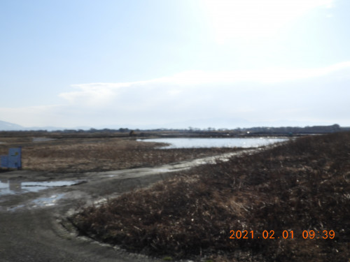 DSCN9921.JPG