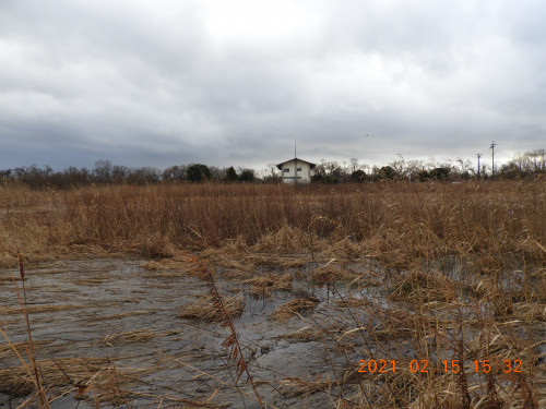 DSCN9977.JPG