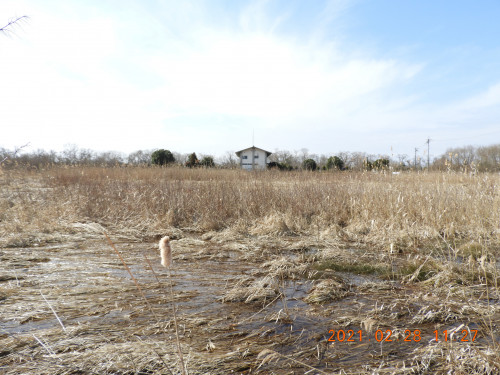 DSCN9989.JPG