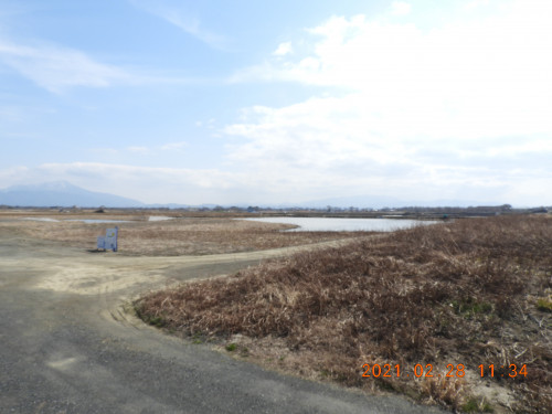 DSCN9993.JPG