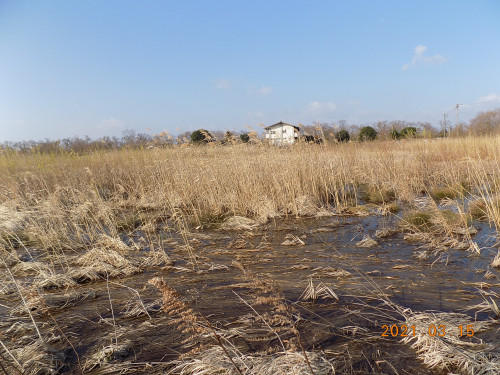 DSCN9631.JPG