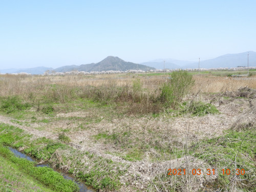 DSCN9778.JPG