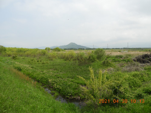 DSCN9822.JPG