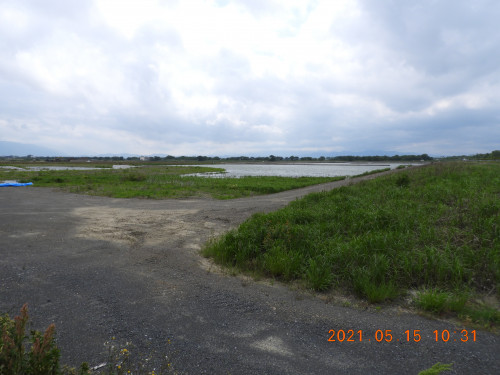 DSCN9988.JPG