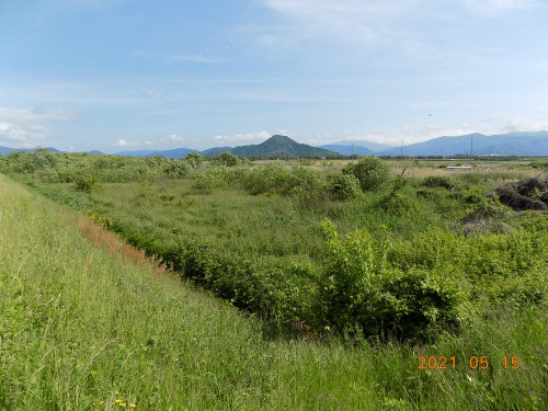 DSCN9656.JPG