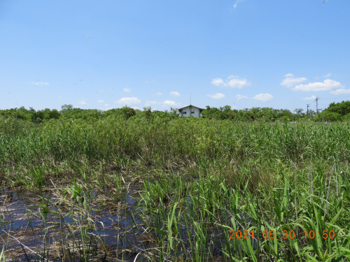 DSCN9827.JPG