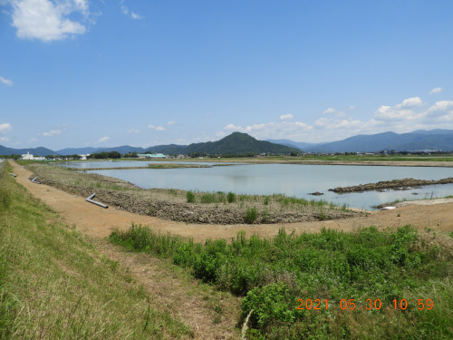DSCN9833.JPG
