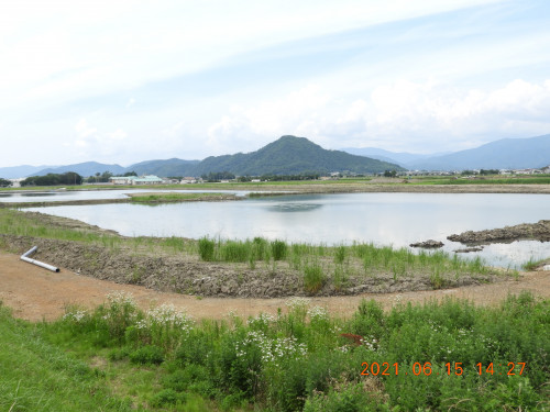 DSCN0007.JPG