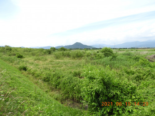 DSCN0009.JPG