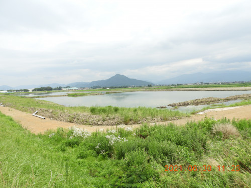 DSCN0353.JPG