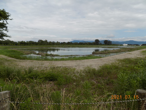 DSCN9992.JPG