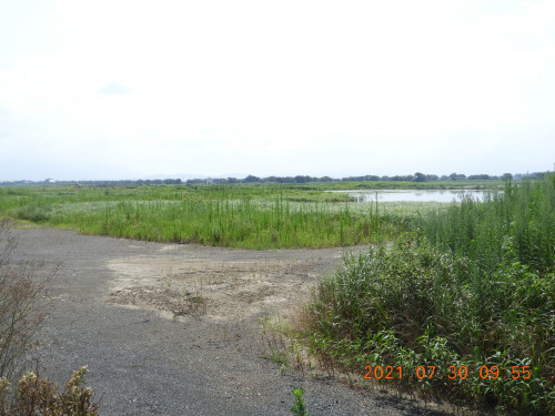 DSCN9115.JPG
