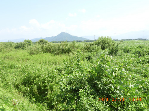 DSCN9120.JPG