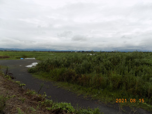 DSCN0001.JPG