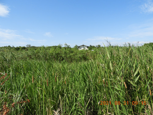 DSCN9506.JPG