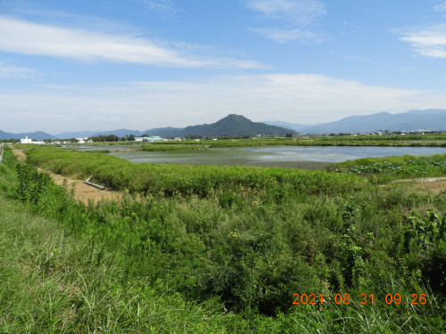 DSCN9519.JPG