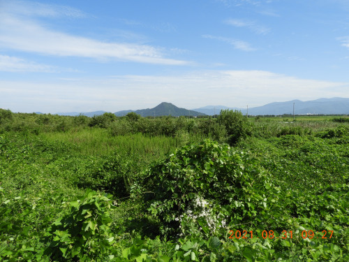 DSCN9520.JPG