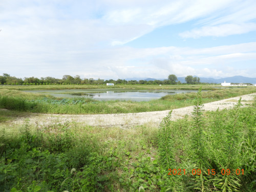 DSCN9670.JPG