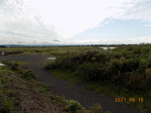 DSCN0009.JPG