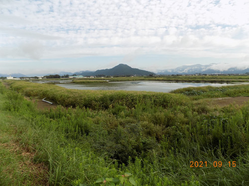 DSCN0010.JPG