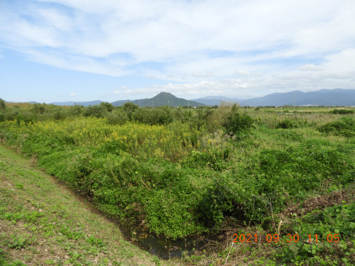 DSCN0013.JPG