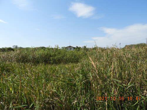 DSCN0146.JPG
