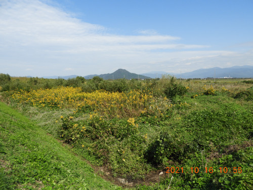 DSCN0151.JPG