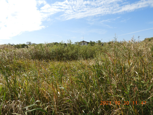 DSCN0238.JPG