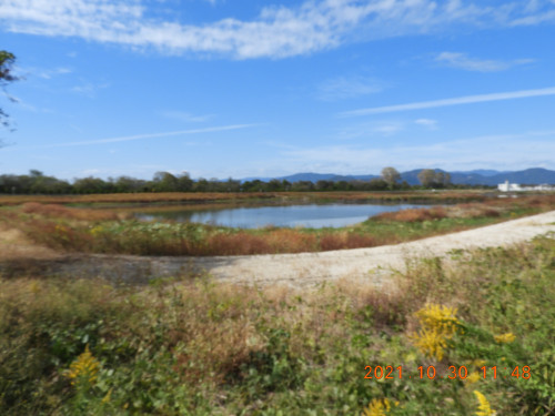 DSCN0239.JPG