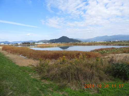DSCN0251.JPG