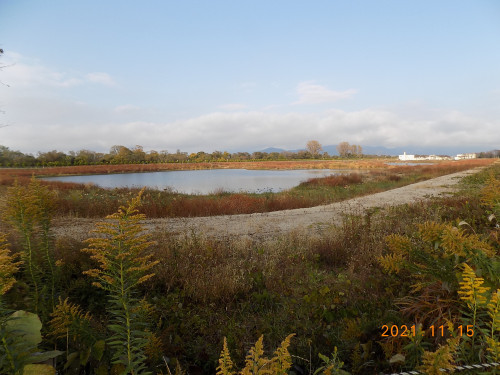 DSCN0158.JPG