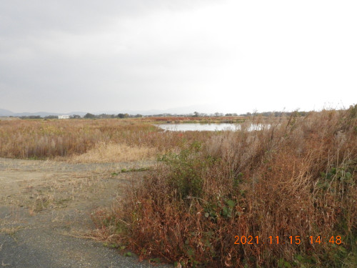 DSCN9991.JPG