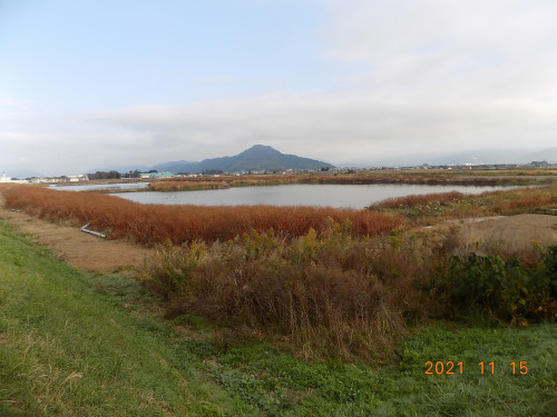 DSCN0160.JPG