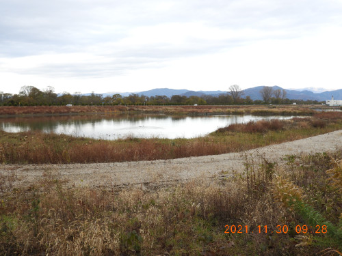 DSCN0448.JPG