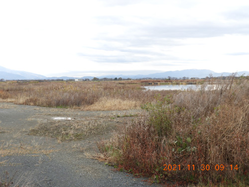 DSCN0439.JPG