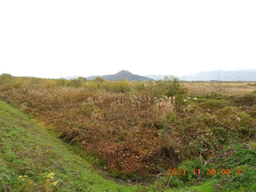 DSCN0449.JPG